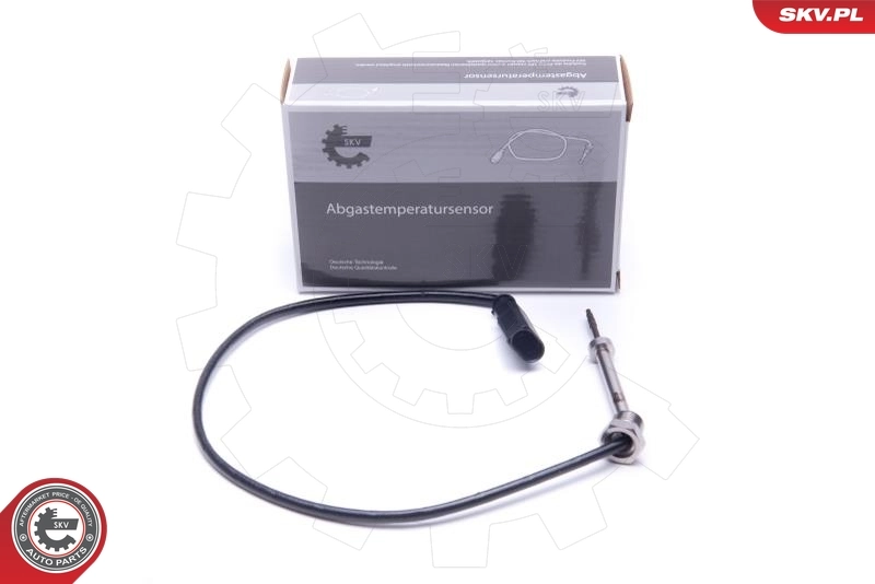 Sensor, exhaust gas temperature